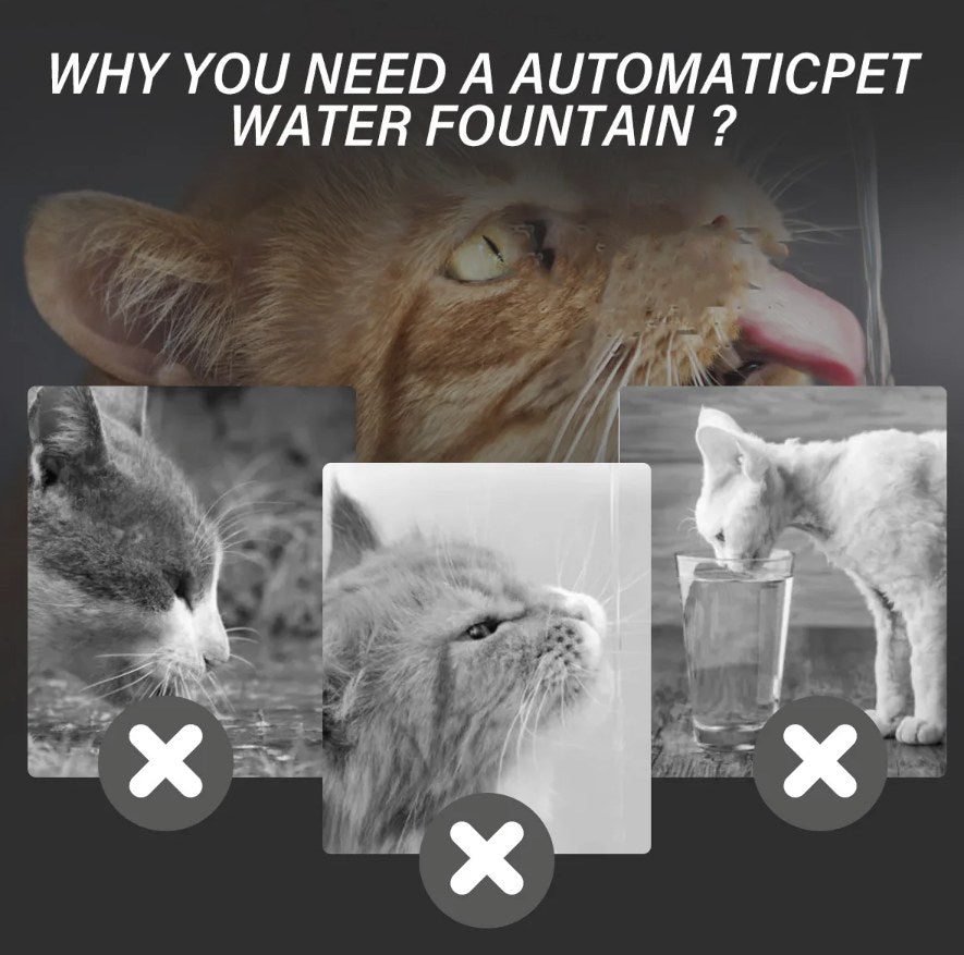 FUENTE DE AGUA PARA GATOS